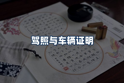 车辆证明展示